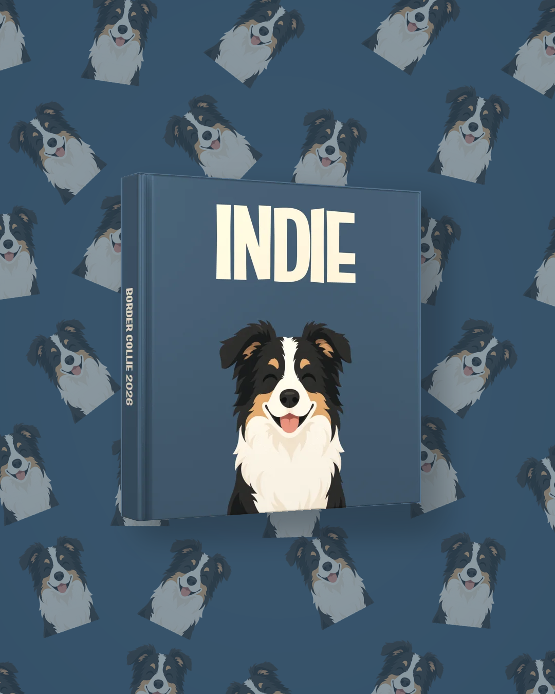 Border Collie — image 4