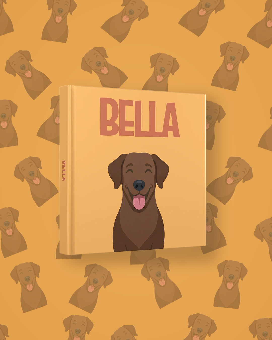 Labrador Chocolat — image 4