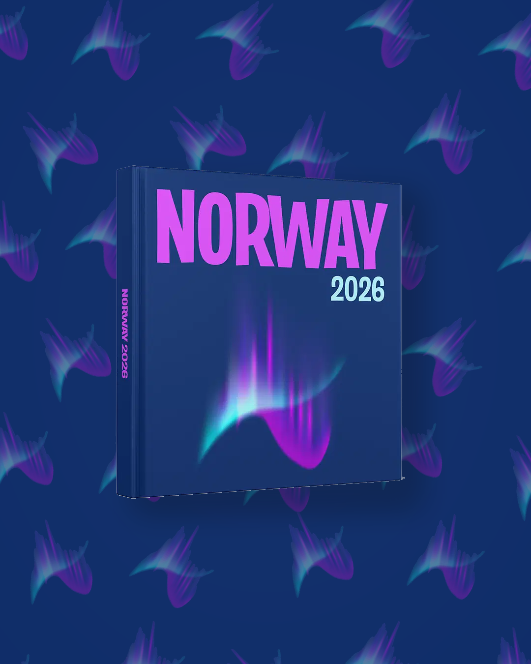 Norvège — image 4