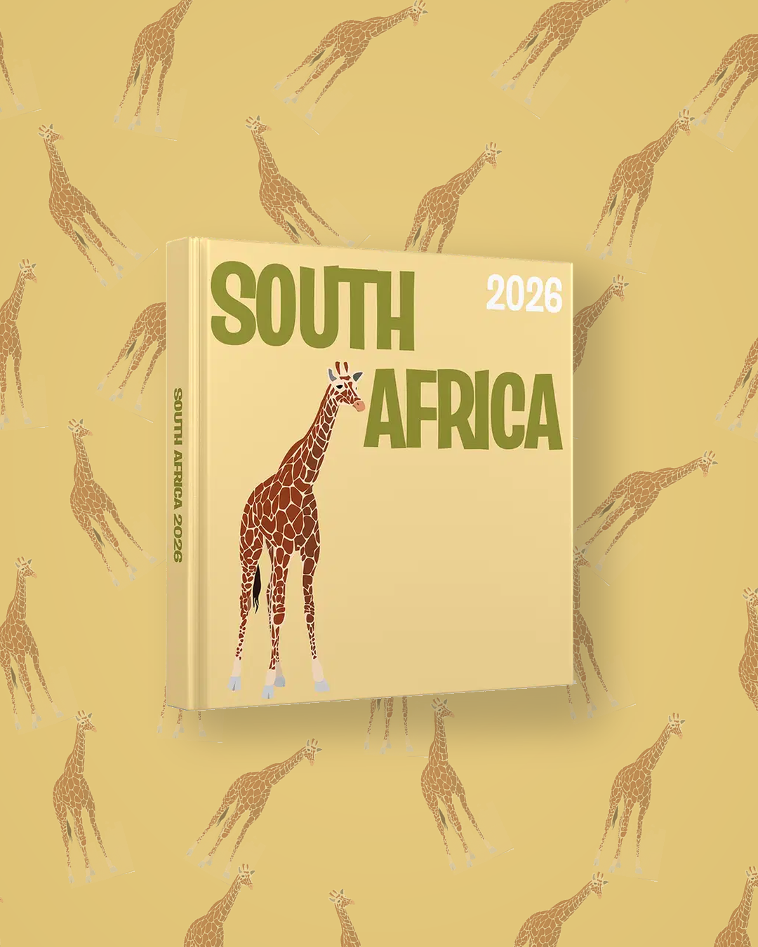 Afrique du Sud — image 4