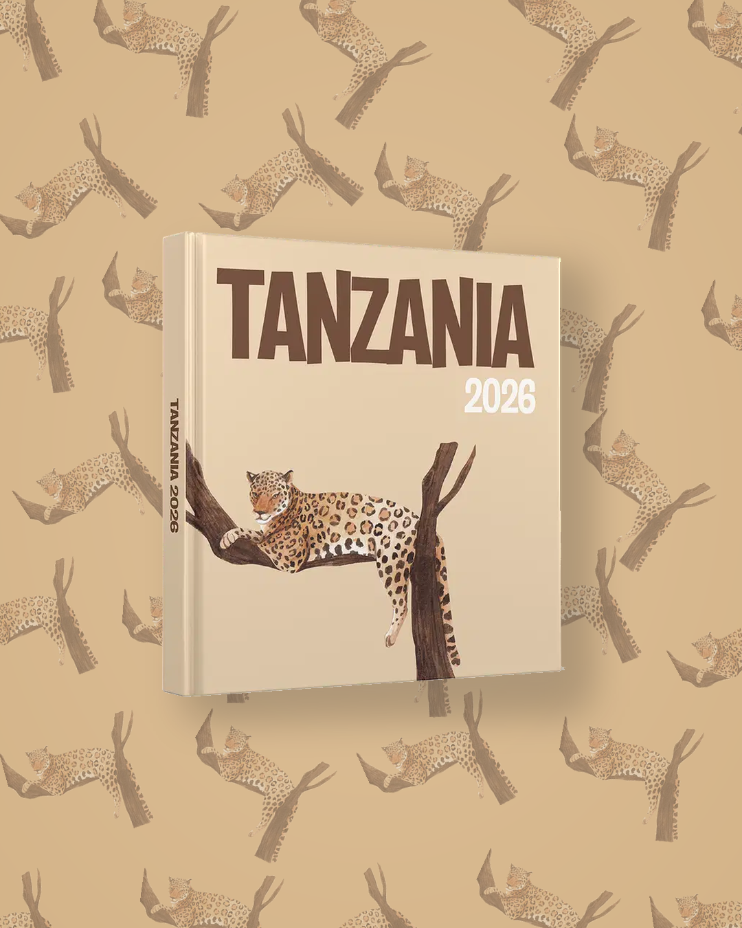 Tanzanie — image 4