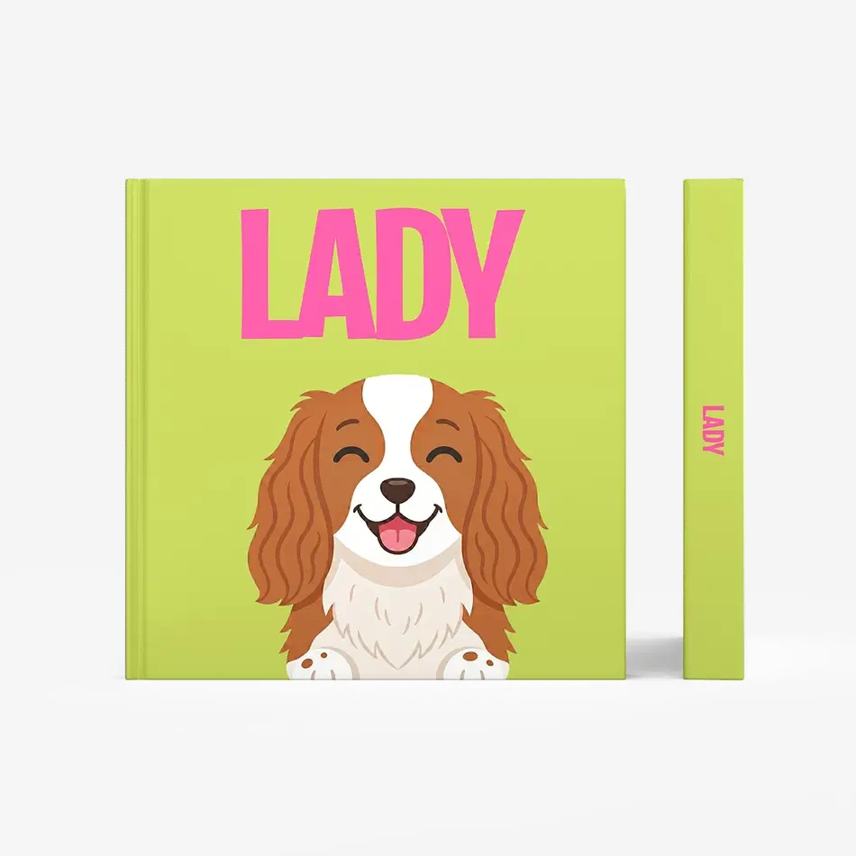 Cavalier King Charles — image 3