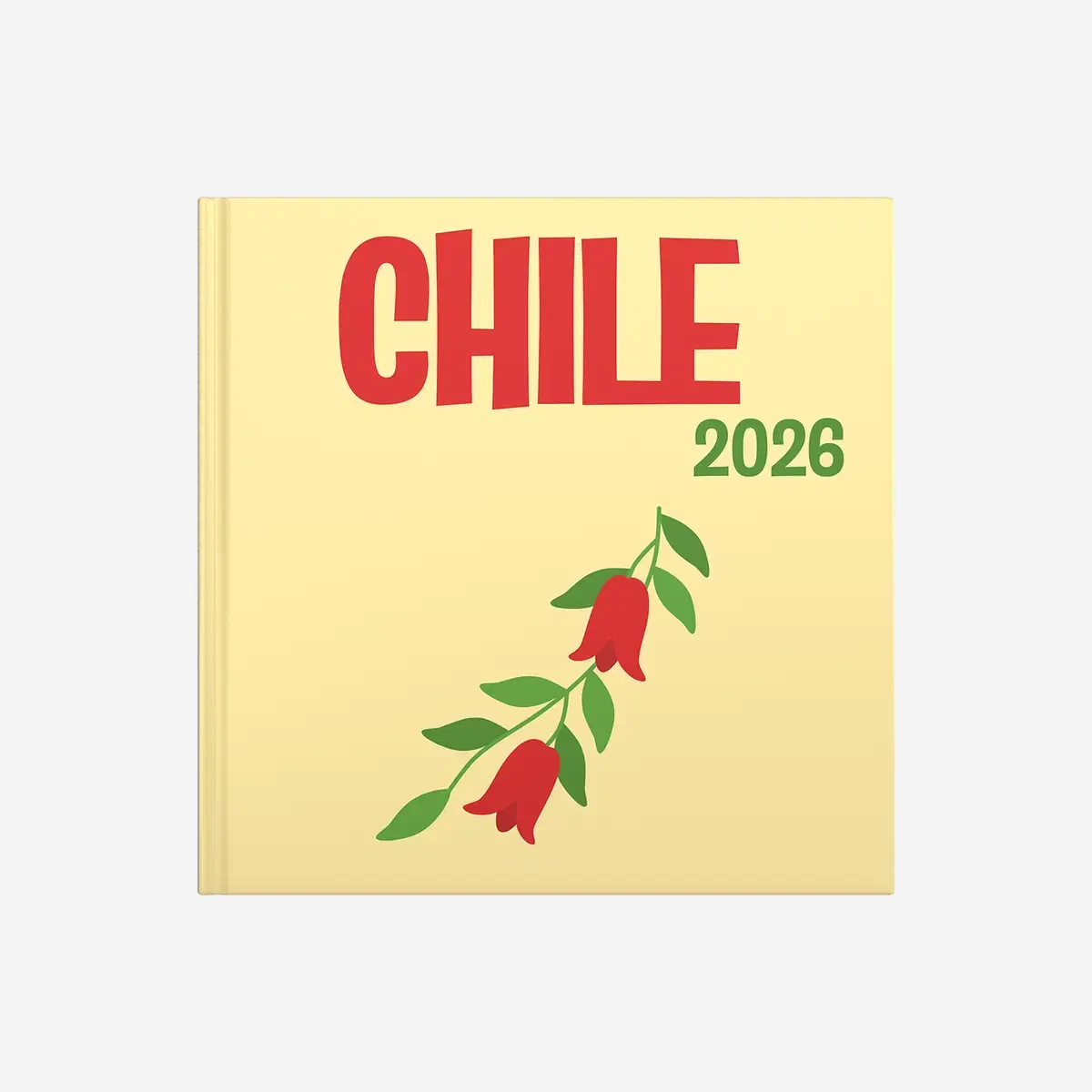 Chili — image 2