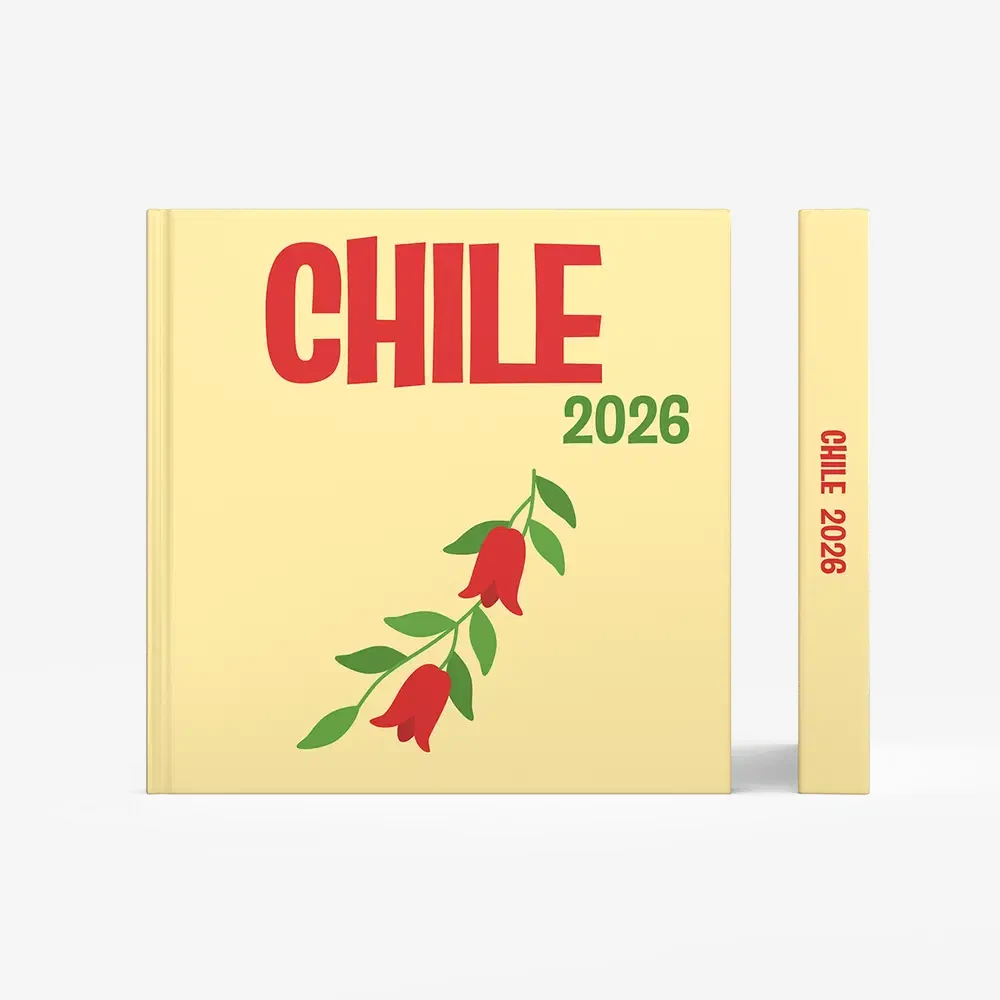 Chili — image 3