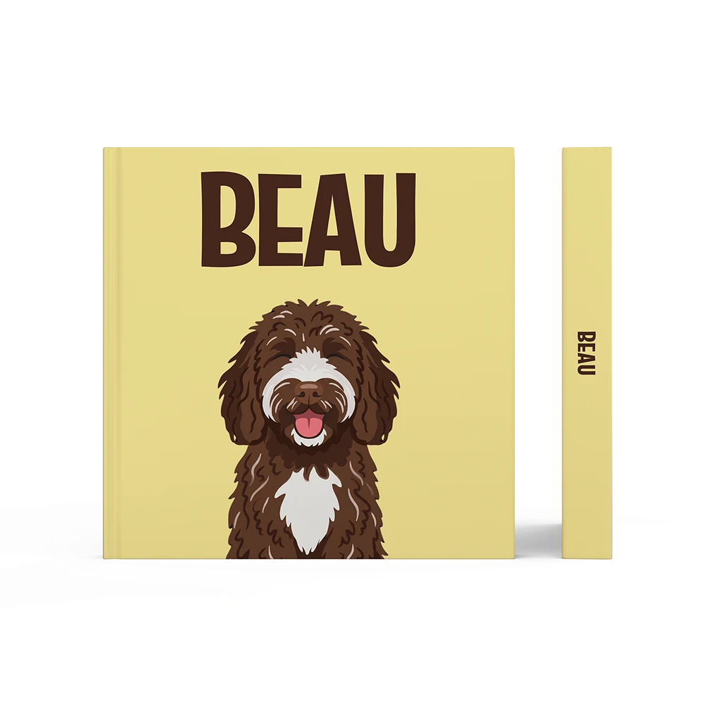 Labradoodle Chocolat — image 3