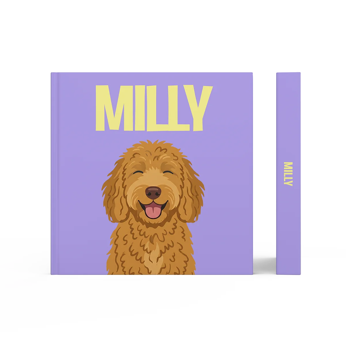 Labradoodle Doré 1 — image 3