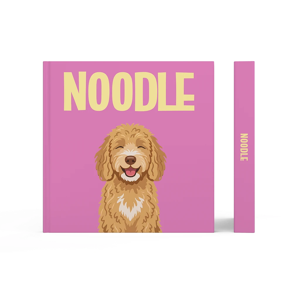 Labradoodle Doré — image 3