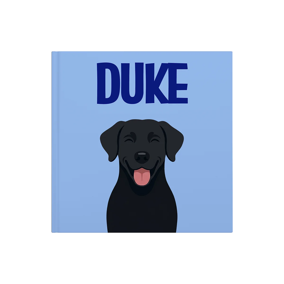 Labrador Noir — image 2