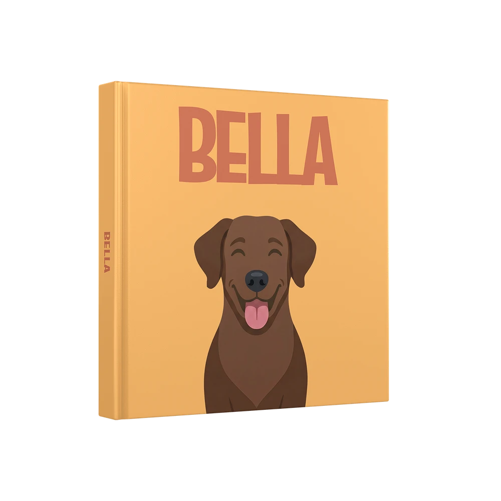 Labrador Chocolat
