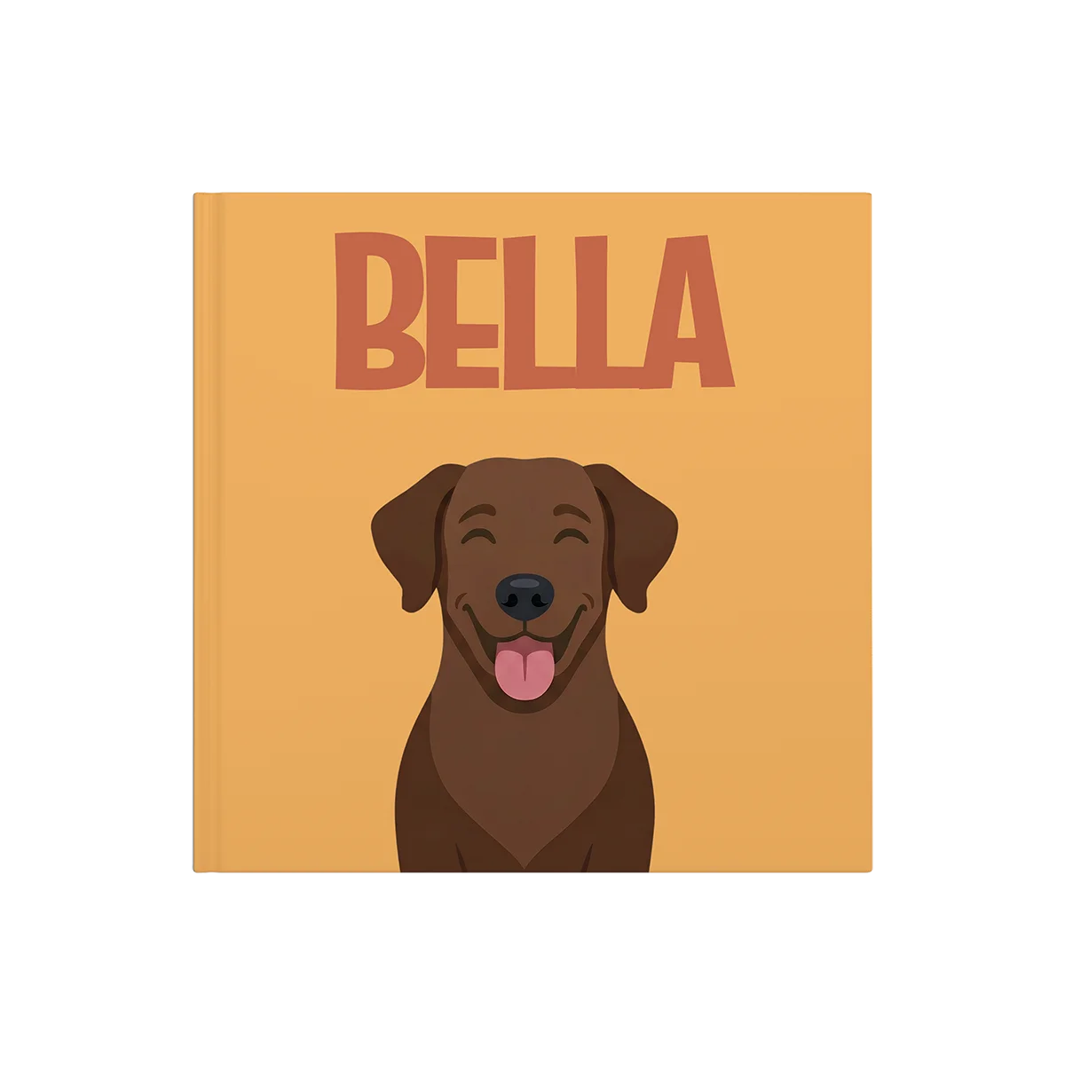 Labrador Chocolat — image 2