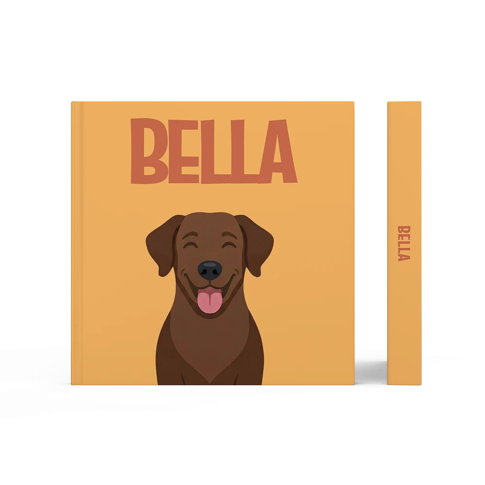 Labrador Chocolat — image 3